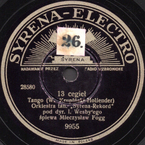 13 cegieł