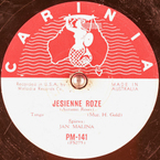 Jesienne róże