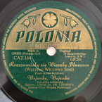 Rozszumiały się wierzby płaczące