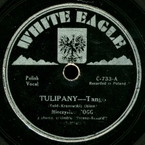 Tulipany (A. Gold, Kranowski)